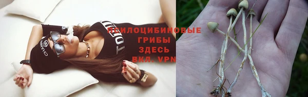 прущая мука Абдулино
