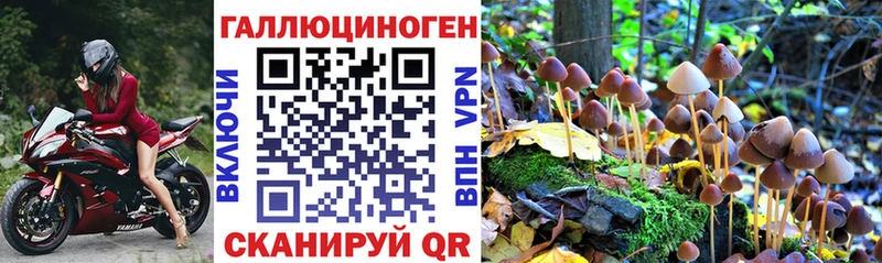 Псилоцибиновые грибы мицелий  купить   Тихорецк 